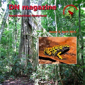 DN English Magazine issue 3